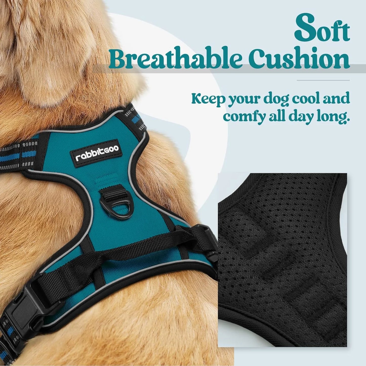 Dog Harness, No Pull Pet Harness with 2 Leash Clips, Adjustable Soft Padded Dog Vest, Reflective Outdoor Pet Oxford Vest with Easy Control Handle for Small Dogs, Blue Coral