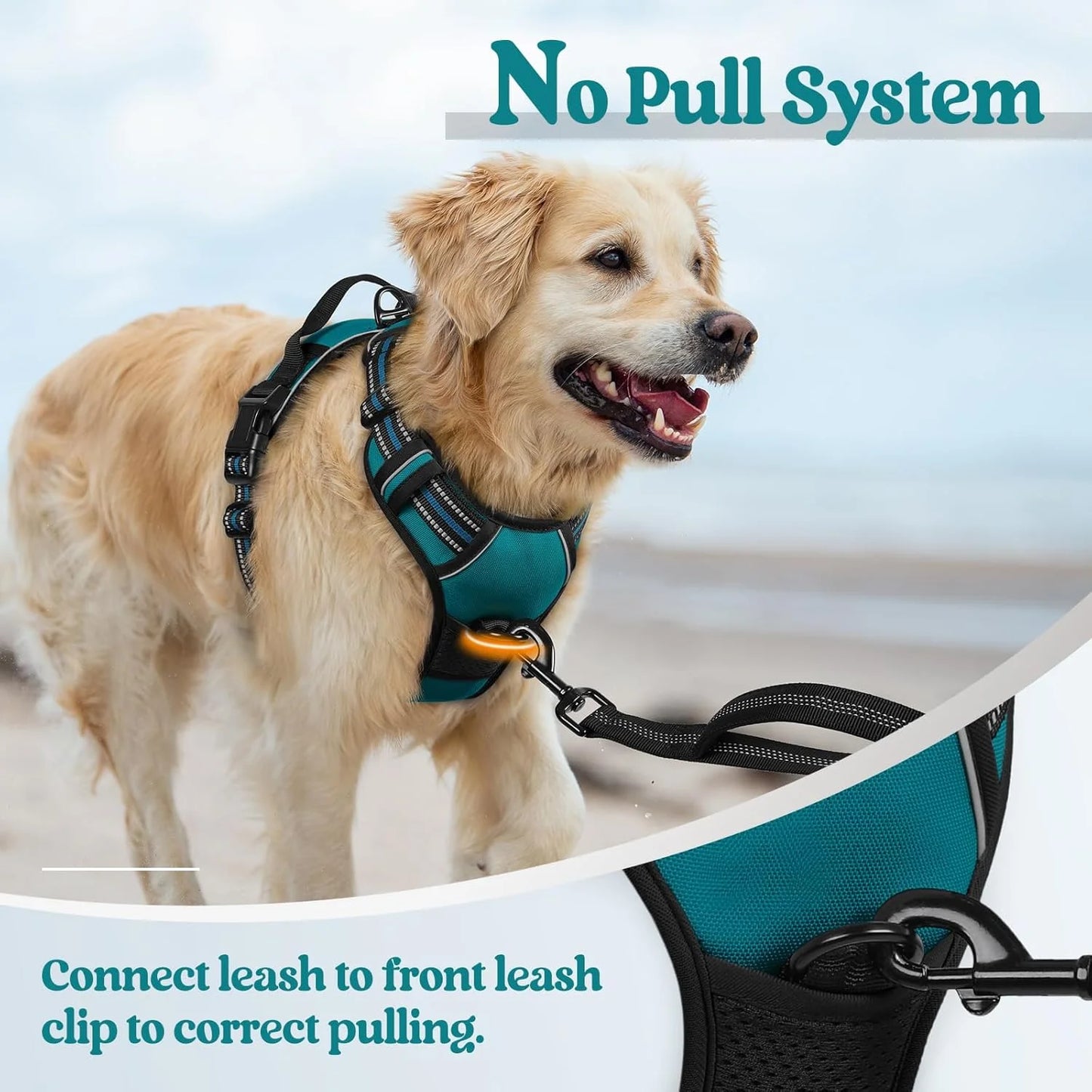 Dog Harness, No Pull Pet Harness with 2 Leash Clips, Adjustable Soft Padded Dog Vest, Reflective Outdoor Pet Oxford Vest with Easy Control Handle for Small Dogs, Blue Coral