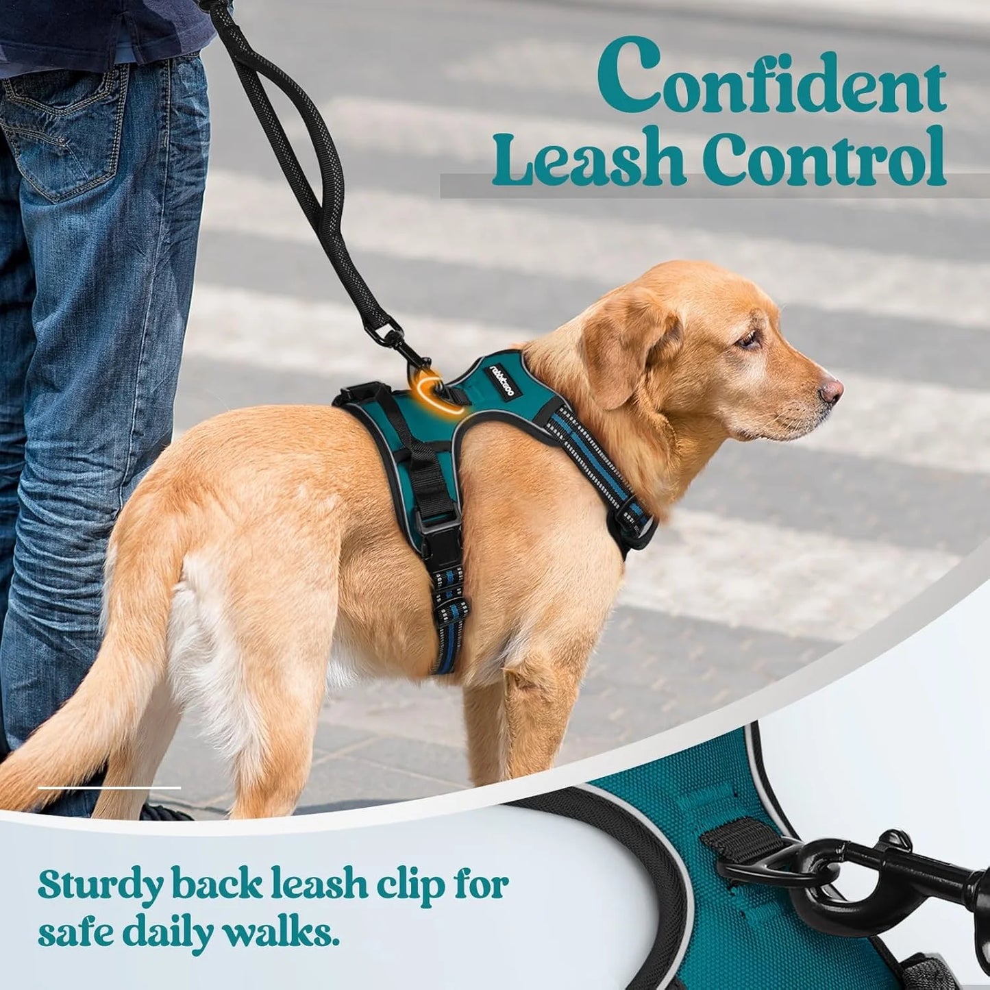 Dog Harness, No Pull Pet Harness with 2 Leash Clips, Adjustable Soft Padded Dog Vest, Reflective Outdoor Pet Oxford Vest with Easy Control Handle for Small Dogs, Blue Coral