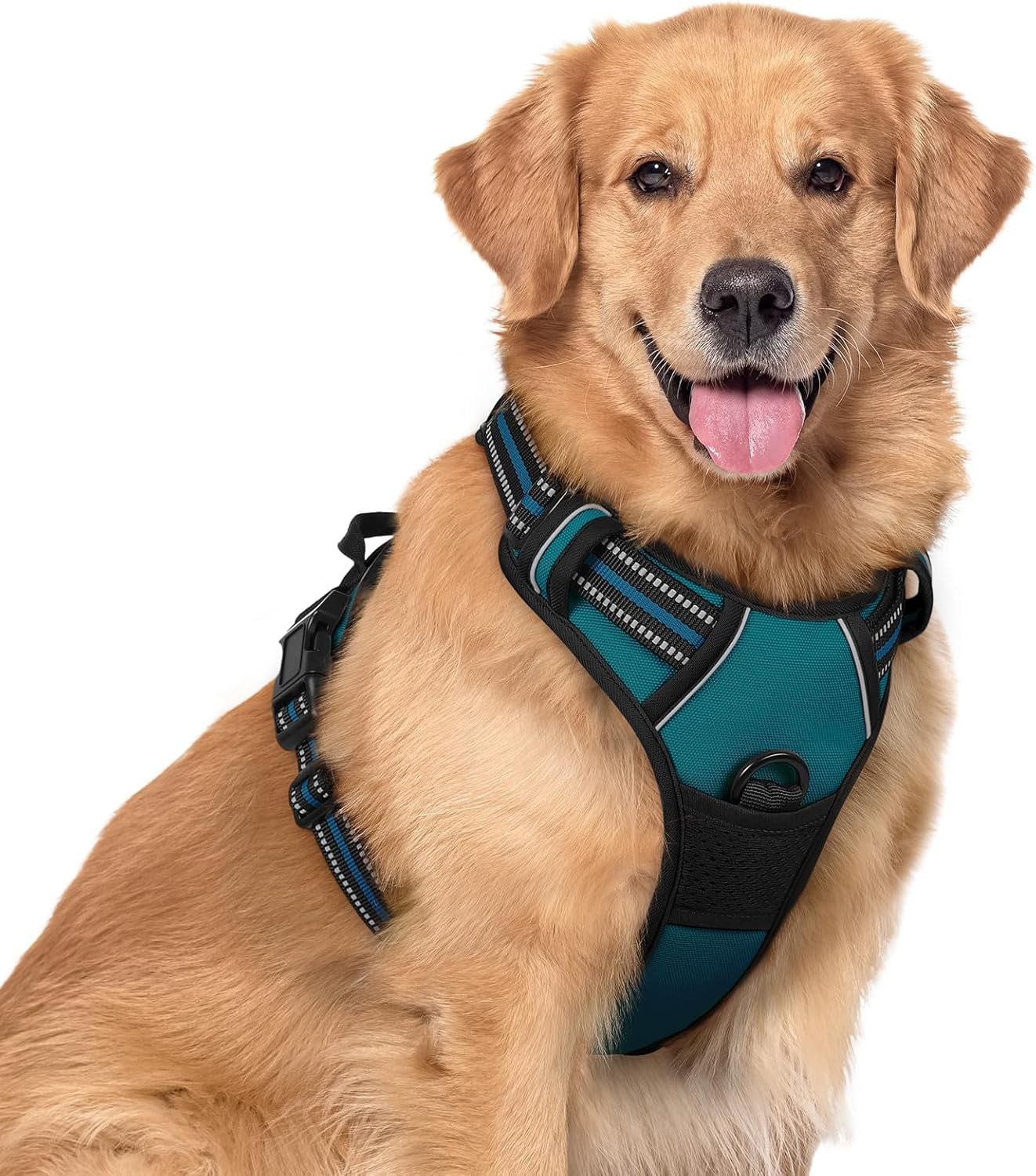 Dog Harness, No Pull Pet Harness with 2 Leash Clips, Adjustable Soft Padded Dog Vest, Reflective Outdoor Pet Oxford Vest with Easy Control Handle for Small Dogs, Blue Coral